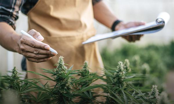 InTrack CFO Delivers Trusted Financial…