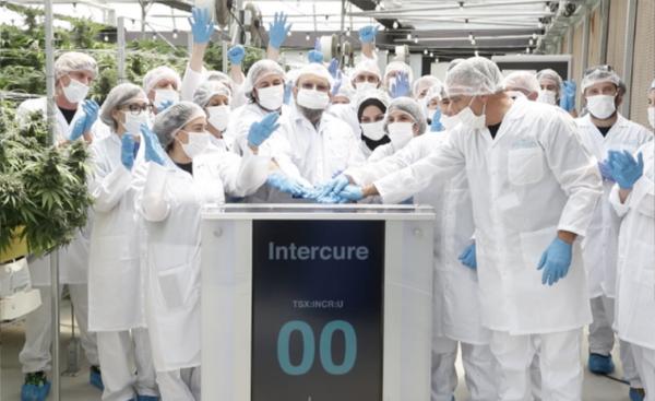 photo of InterCure nears break even in first half of 2024, despite ongoing Israel-Hamas war image