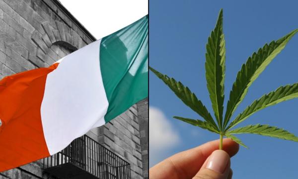 Irish Lawmaker Files Bill To Legalize…