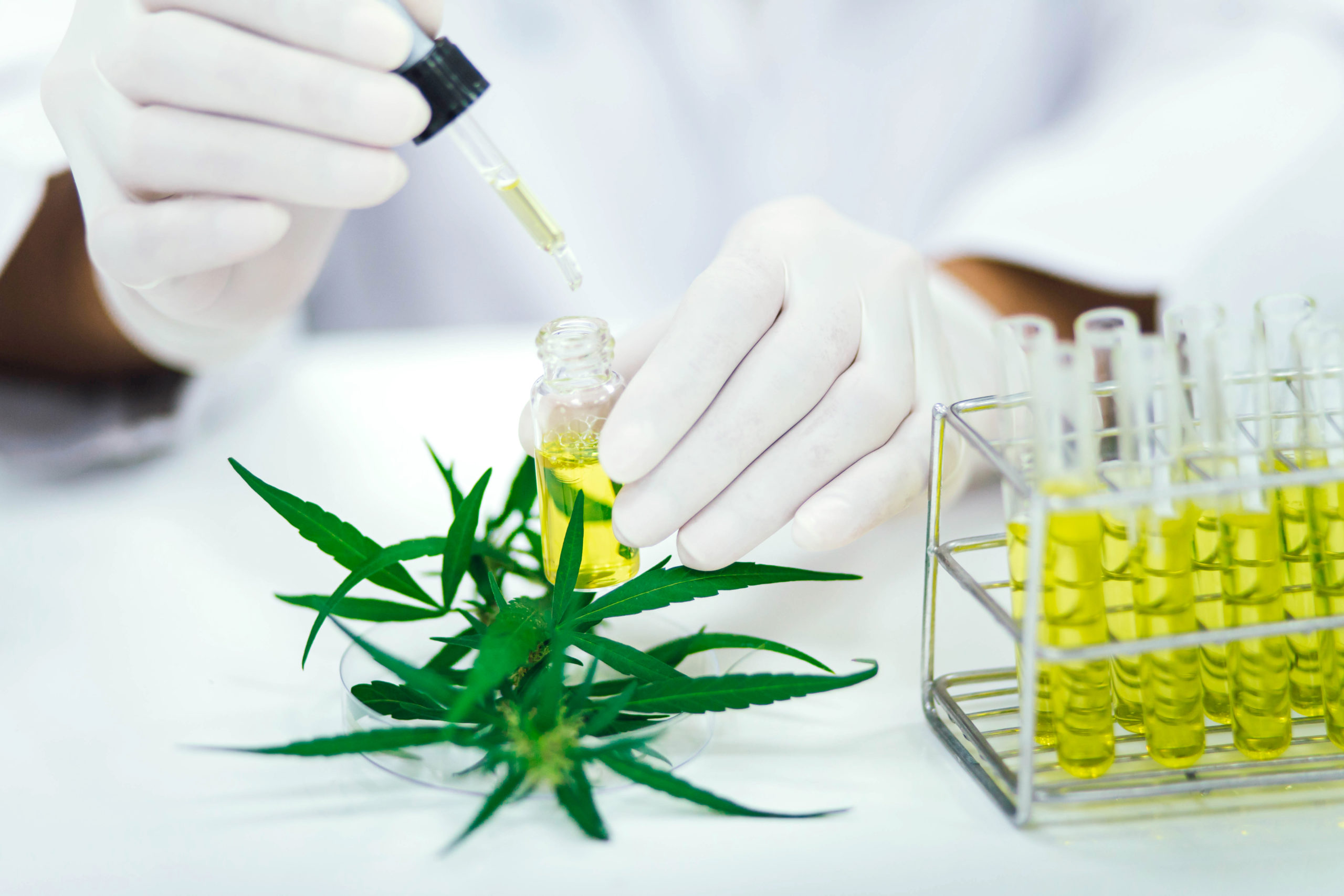 photo of Israeli Researchers Plan to Study Cannabis as a Treatment for COVID-19 image