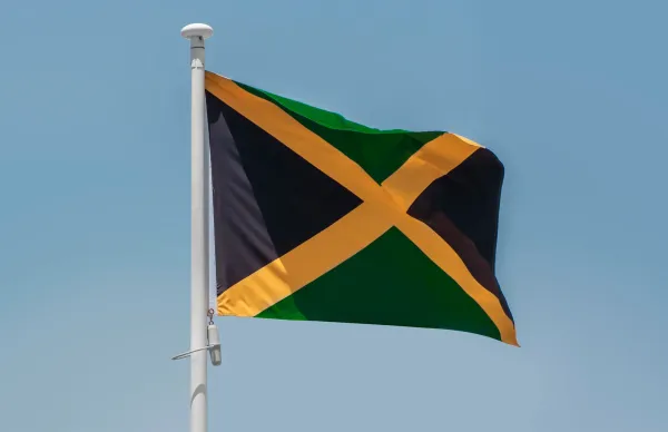 Jamaica Opens Fee-Free Marijuana…