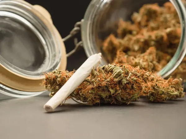 New York Cannabis Control Board…