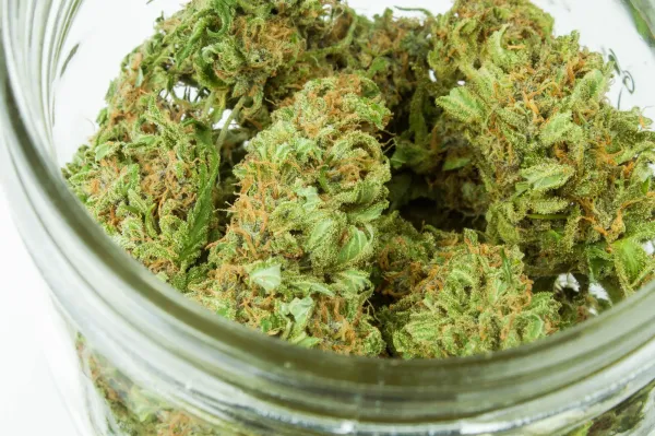 photo of Best Dispensaries in North Houston: H-Town Buyer’s Guide image