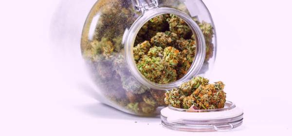 Florida Judge Disqualifies Over 200,000…