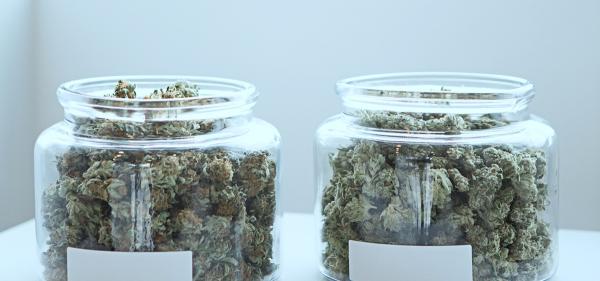 Cannabis Store Workers Join Labor…