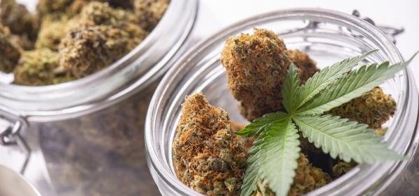 Study Finds 4 Distinct Aroma Profiles…