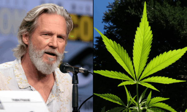 Jeff Bridges Was High On Marijuana When…