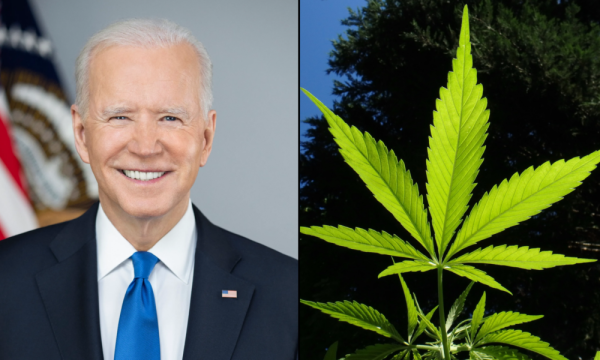 photo of Biden Tells NAACP He Is ‘Making Sure’ People Aren’t Jailed For Marijuana Possession image