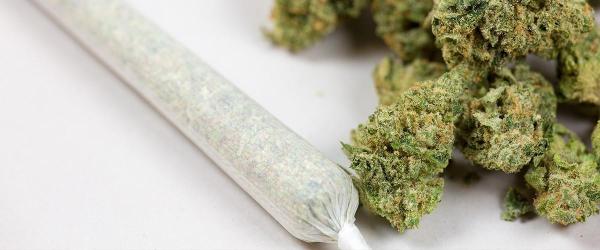 Study Finds Teen Marijuana Use Fell…
