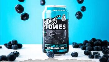 photo of Cannabis-Infused Jones Soda Products Are Coming To Michigan image