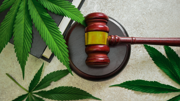 NORML Files Amicus Brief in Case Over…