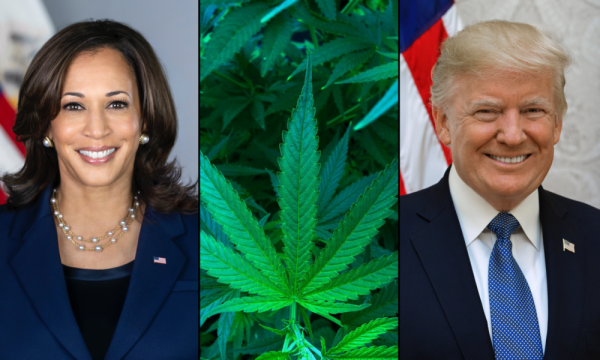 photo of Trump Claims Harris Jailed ‘Thousands And Thousands Of Black People’ Over Marijuana, But Her Actual Record As A… image