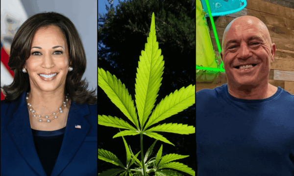 Kamala Harris Says Joe Rogan ‘Lied’…
