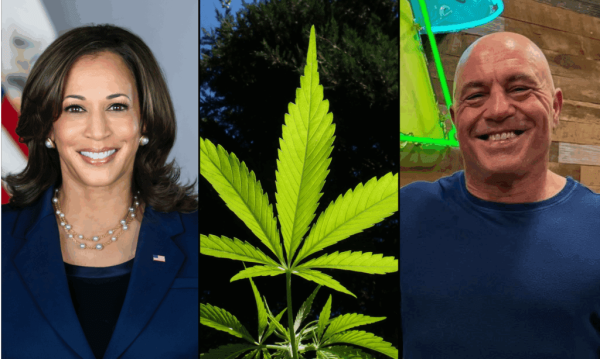 Joe Rogan Pushes Back Against Kamala…