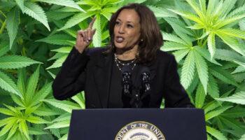 photo of Kamala Harris Promotes Federal Pot Legalization As a Boon to Black Men image