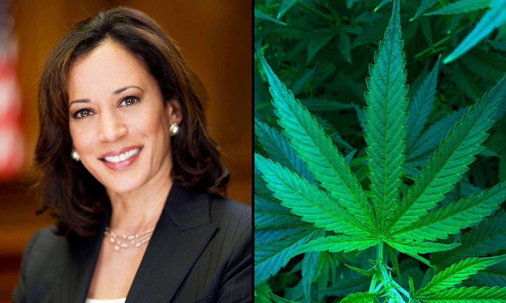 photo of Where Presidential Candidate Kamala Harris Stands On Marijuana image