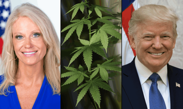 Former Trump Advisor Kellyanne Conway Is…