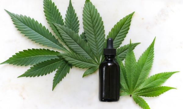 photo of CBD Lotion Tied To Reduced Skin Damage From UV Rays, New Study Finds image