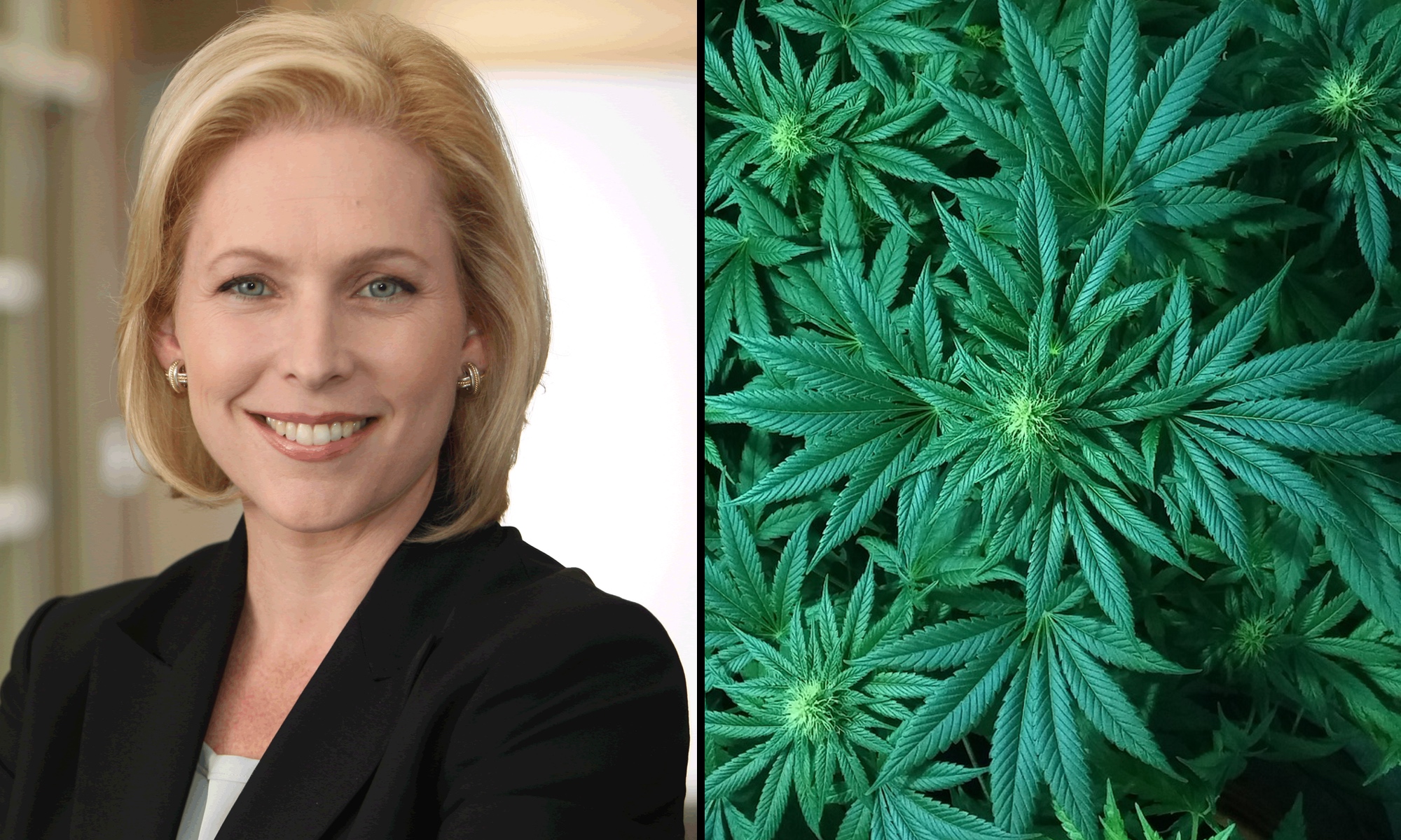 photo of Presidential Candidate Gillibrand Unveils Wide-Ranging Marijuana Legalization Plan image