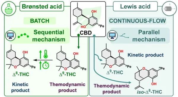 Study Details How Temperature and Catalyst Determine CBD’s…