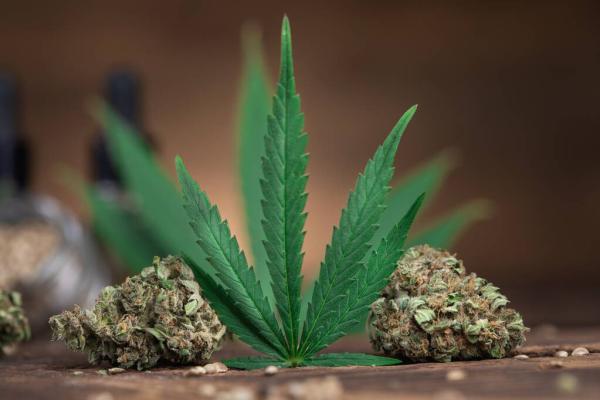 photo of Bipartisan House Lawmakers Press Trump Administration for Answers on Schedule III Marijuana Rollout image