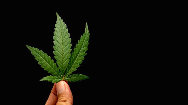 DEA Releases Marijuana Rescheduling…