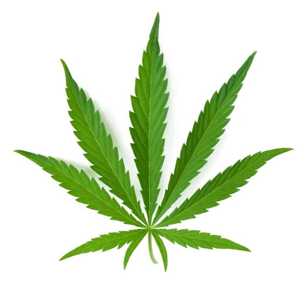 U.S. Senator Files Amendment to Ban…