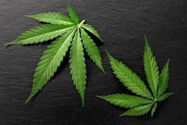 DEA Filing Reveals Colorado Company&hellip;