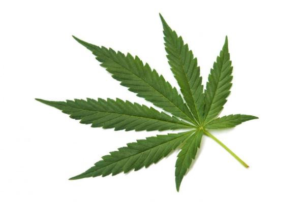 NIH-Funded Study Finds Marijuana&hellip;