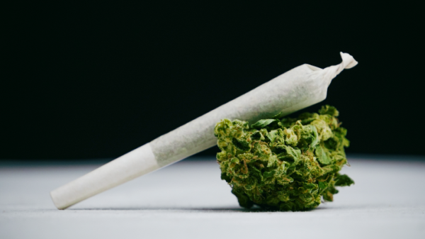 NORML Op-Ed: Debunking Cannabis Potency…