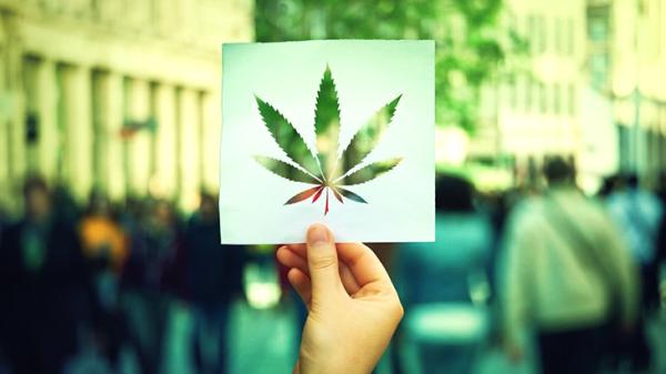 photo of NORML Op-Ed: Marijuana Legalization Advocates Are the Majority. It’s Time to Act Like It image