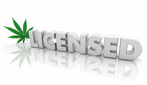 photo of New York launches new white labeling license image