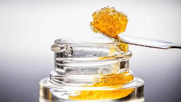 Connecticut to Eliminate 70% THC Cap on&hellip;