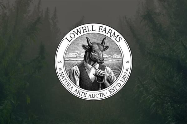 photo of Lowell Farms continues to struggle, with sales down across the board in second quarter image