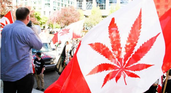 photo of Canadian Senate Passes Bill to Legalize Cannabis image