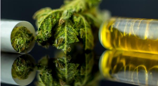 photo of Is THC a More Effective Treatment for Epilepsy Than CBD? New Study Suggests So image