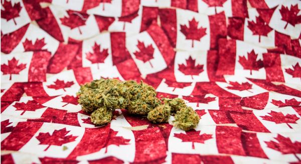 photo of Canada Just Became the World's Second Country to Legalize Cannabis image