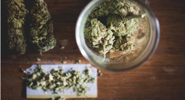 photo of Massachusetts Awards First Recreational Cannabis Business License image