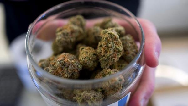Maine Guidance: Medical Marijuana…