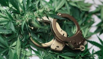 photo of Over 600 Americans Are Arrested Daily for Marijuana — Enough Is Enough image