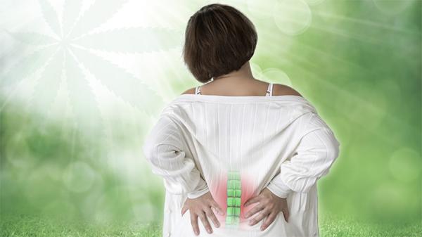 10-Year Study: Back Pain Patients&hellip;