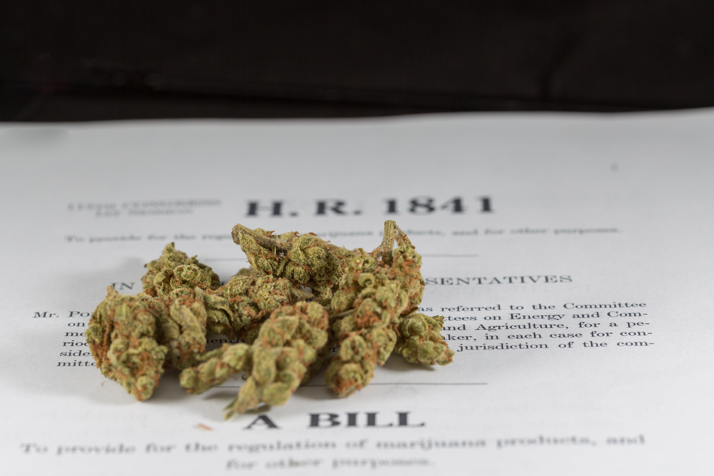 photo of Top Congressional Chairman And Presidential Candidate File Marijuana Legalization Bills image