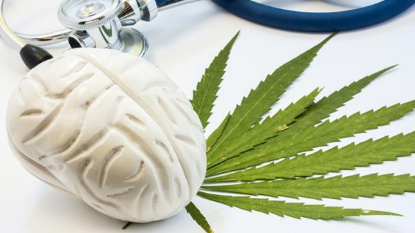 Study: Lifetime Cannabis Use Linked to Greater Cognitive…