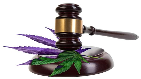 photo of Arkansas: Supreme Court Rules Against Medical Marijuana Ballot Measure image