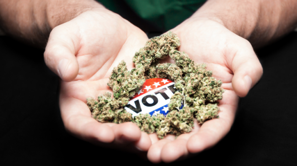 photo of Massachusetts: Democrats Overwhelmingly Reject Ballot Proposal to Repeal Adult-Use Marijuana Legalization image
