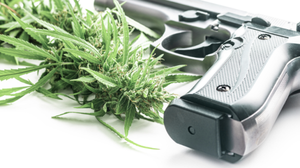 ATF Posts Draft Document Acknowledging&hellip;
