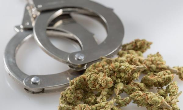 photo of DEA Says It Can Still Arrest People For Marijuana Regardless Of State Legalization, But It’s ‘Not Our Intent’ To… image