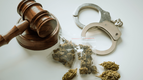 Cannabis Law Reform Is a Civil Rights…