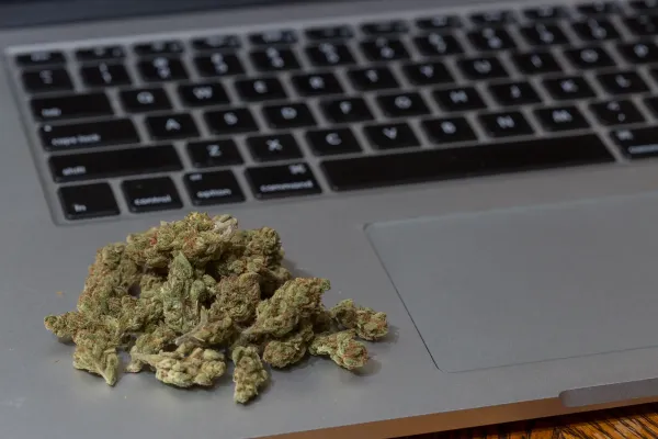 FDA Wants Help Monitoring Marijuana And&hellip;