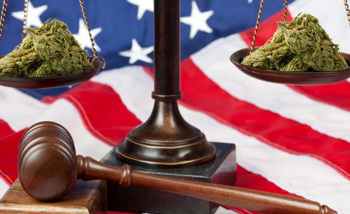 photo of Wisconsin Lawmakers Introduce Cannabis Legalization Bill image